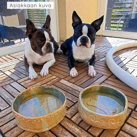 AVOIN KERAMIIKKAKURSSI Lemmikin ruoka- ja juomakuppi 17.5.2026 klo 11-13:30